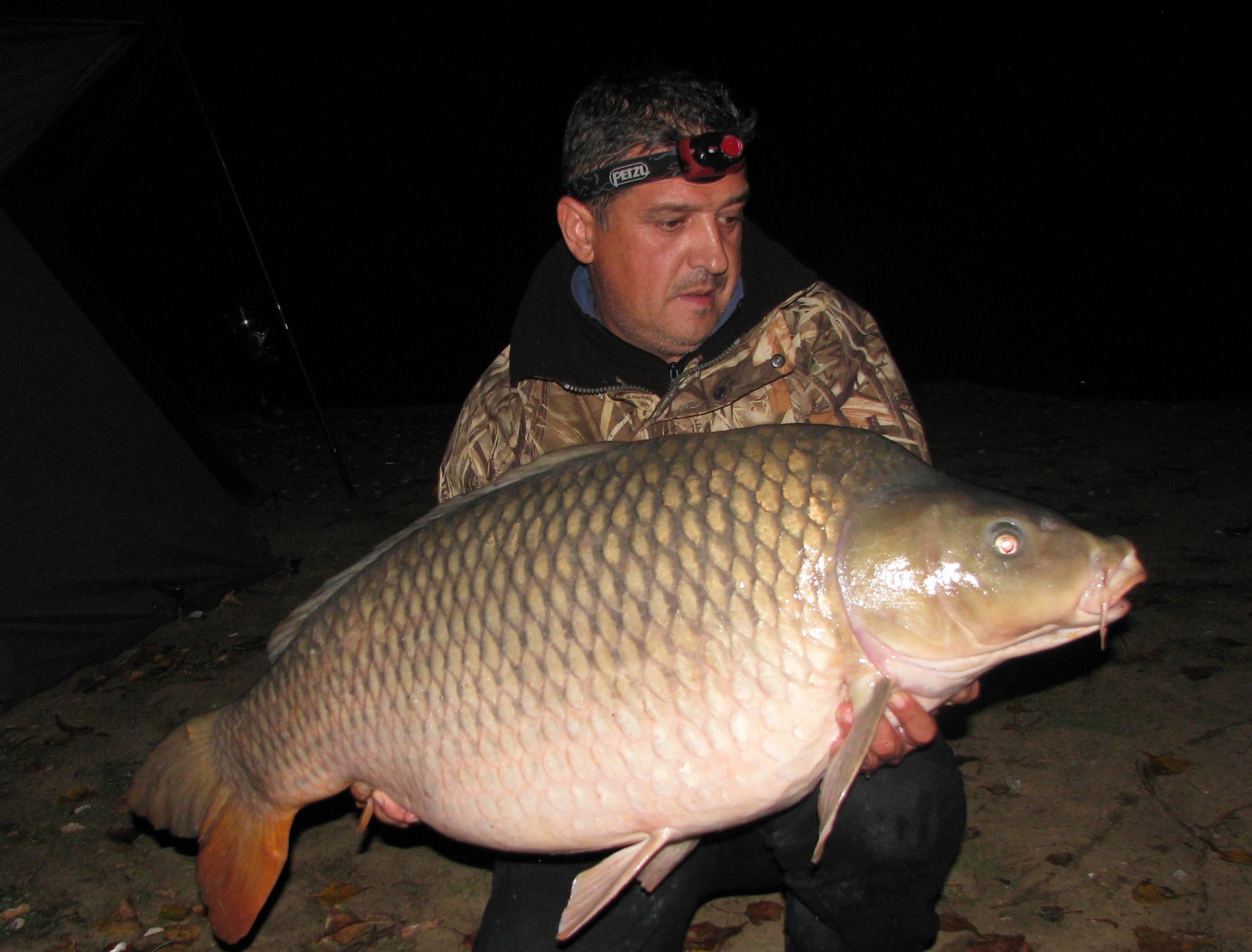 septembrie - octombrie 2012 - 22,5 kg